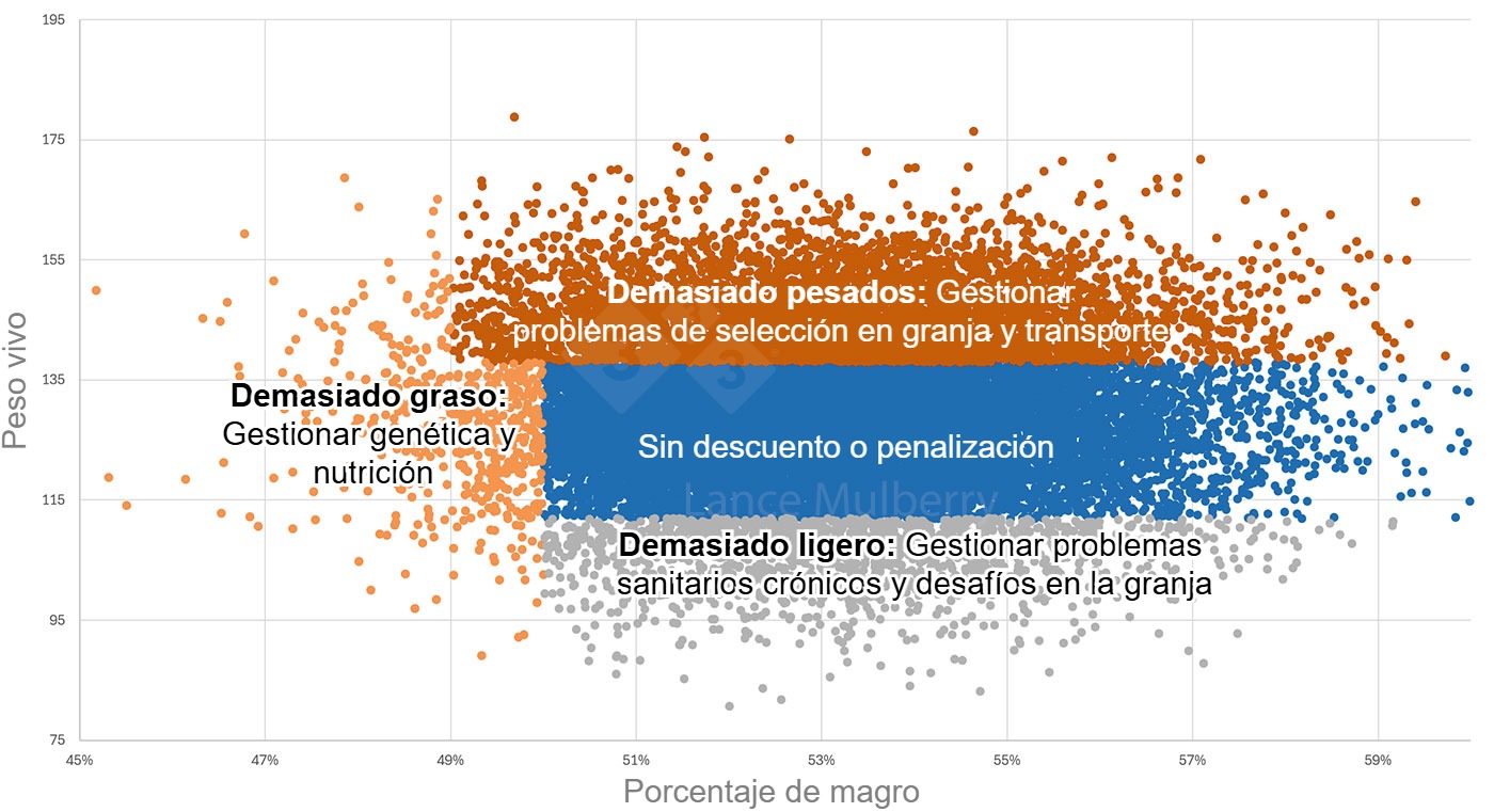 Los datos del matadero&nbsp;combinados con otros datos como la nutrici&oacute;n, el estado sanitario, granjas de&nbsp;reproductoras, etc., pueden ayudar a identificar las causas de la variaci&oacute;n